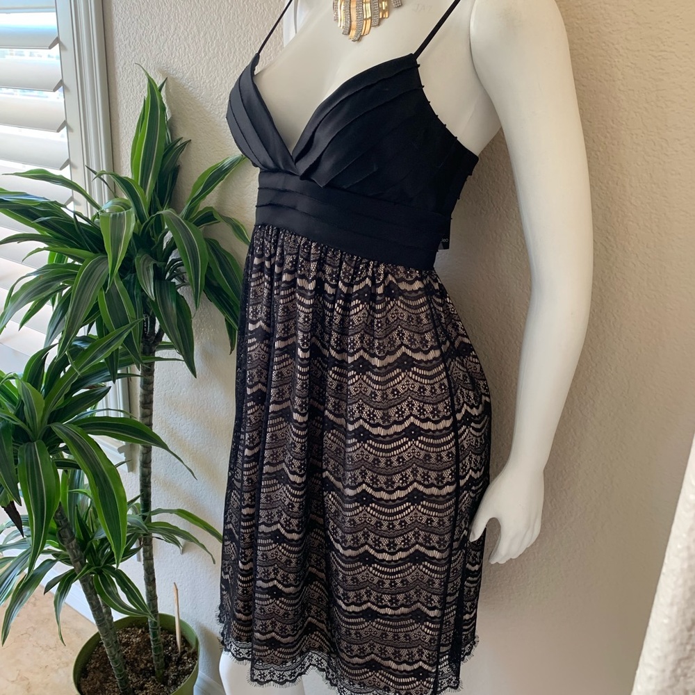 Max And Cleo Tea Lace Dress - Picture 5 of 8